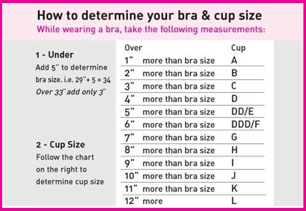 Bra Fitting Size Chart